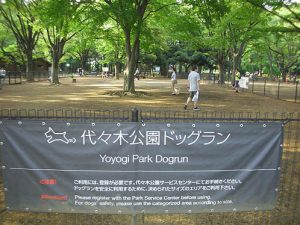 ペット同伴でもOK！！おすすめのスポット【関東】